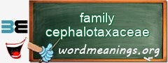 WordMeaning blackboard for family cephalotaxaceae